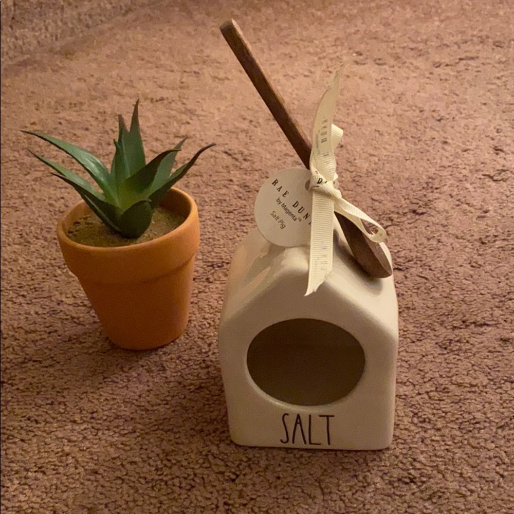 Rae Dunn SALT PIG